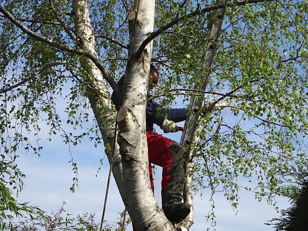 Mulching Services in Salem, OR